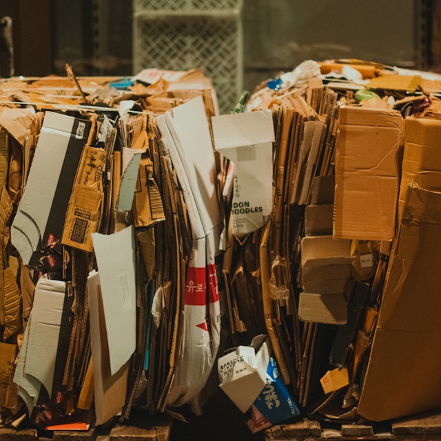 Junk Removal Service